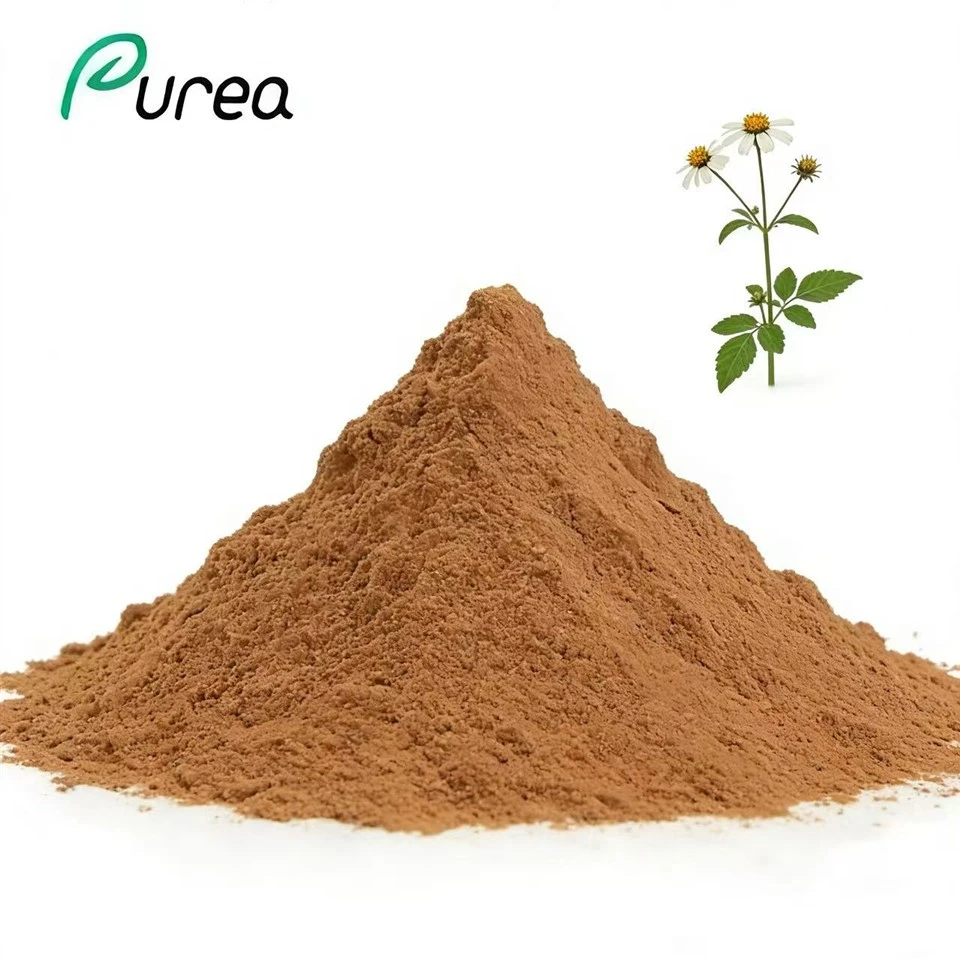 Polvo de extracto de Bidens Pilosa
