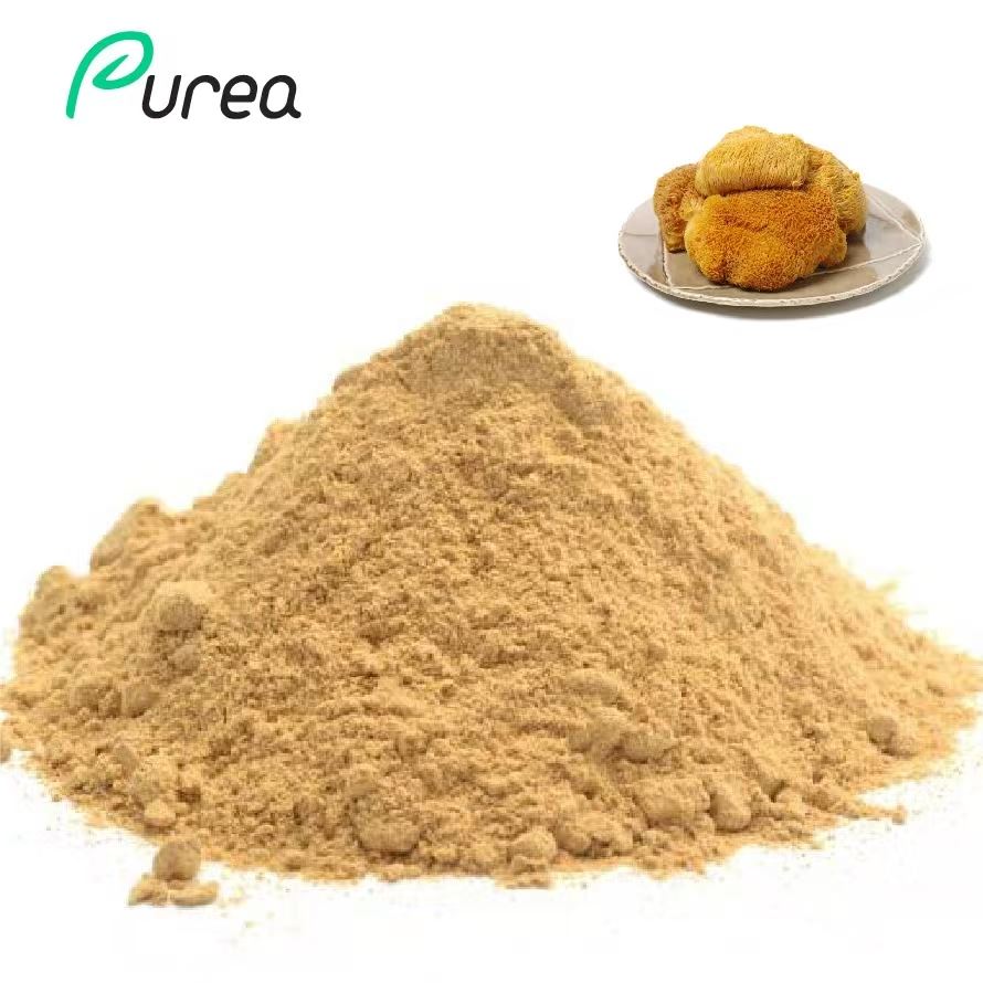 Polvo de extracto de hongo Hericium Erinaceus