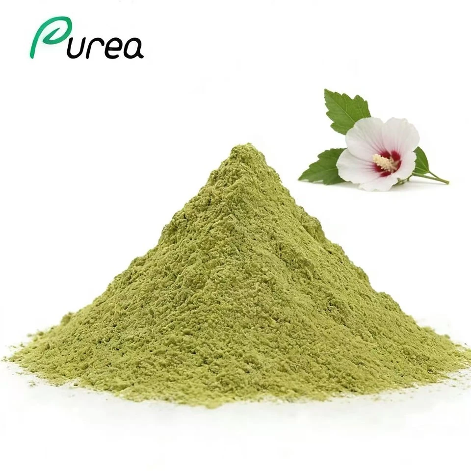 Polvo de hoja de hibisco