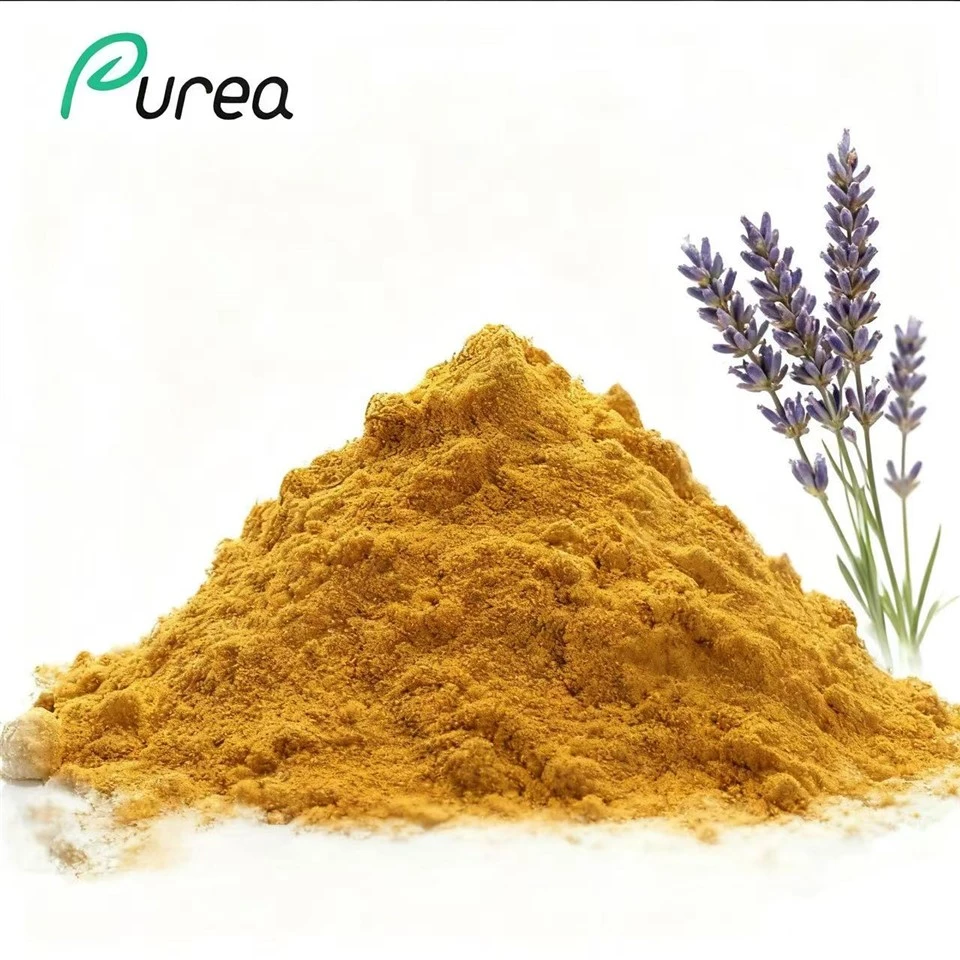 Polvo de extracto de lavanda
