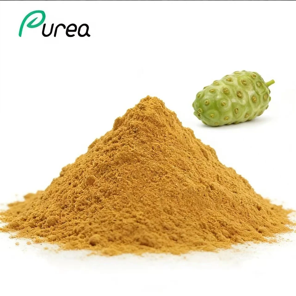 Polvo de fruta de noni orgánico