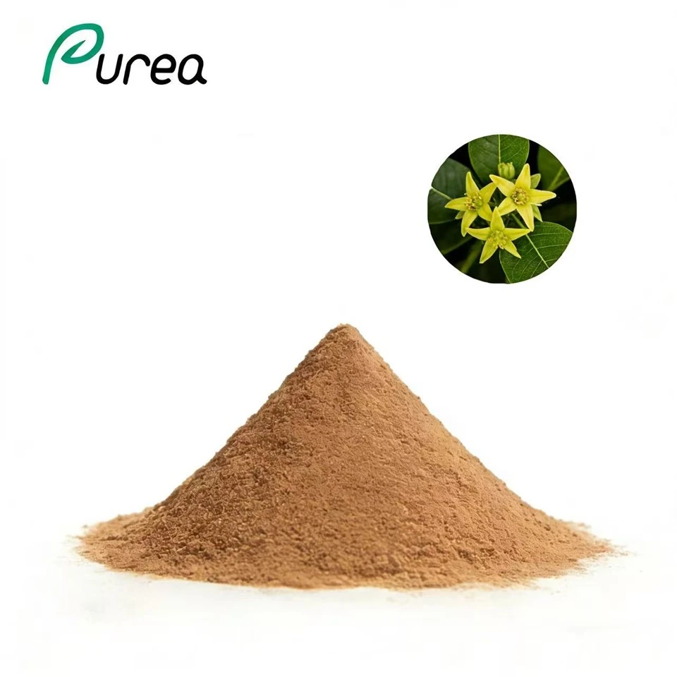 Polvo de extracto de Quillaja Saponaria
