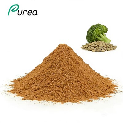 Polvo de extracto de semilla de brócoli