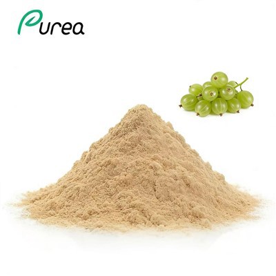 Polvo de extracto de grosella espinosa