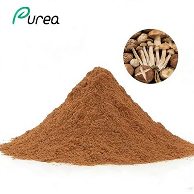 Mezcla de extracto de hongos orgánicos en polvo