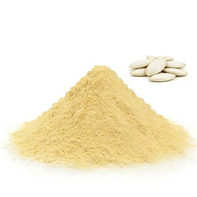 Polvo de extracto de semilla de calabaza