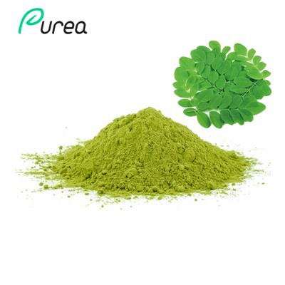 Polvo puro de hoja de moringa