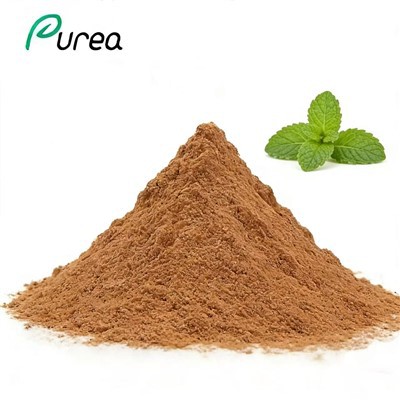 Polvo puro de extracto de menta